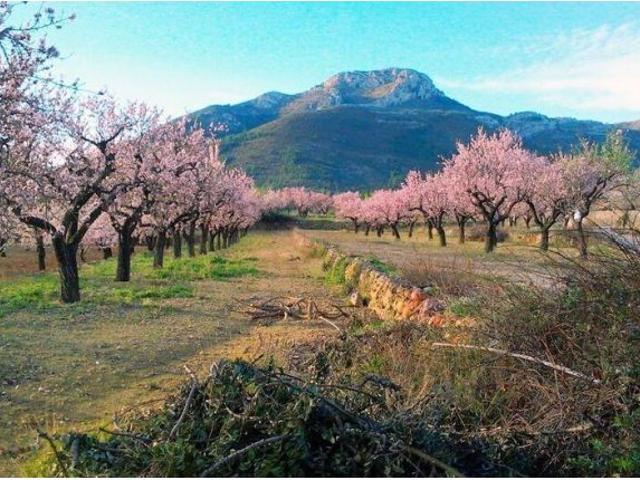 Terreno urbano en Venta en Alcalalí, Alicante