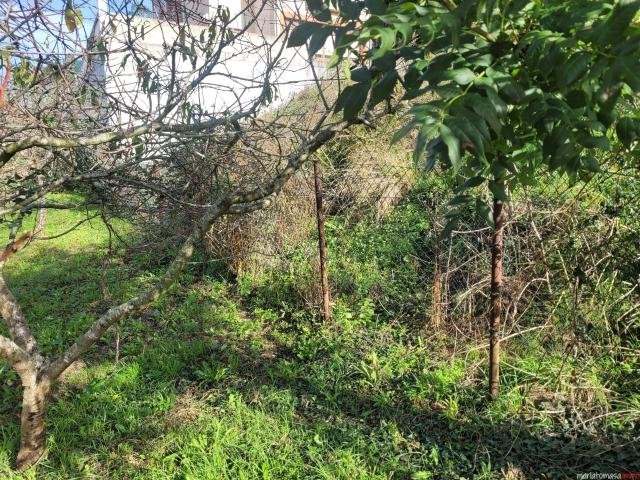 Terreno urbano en venta en Baltezana