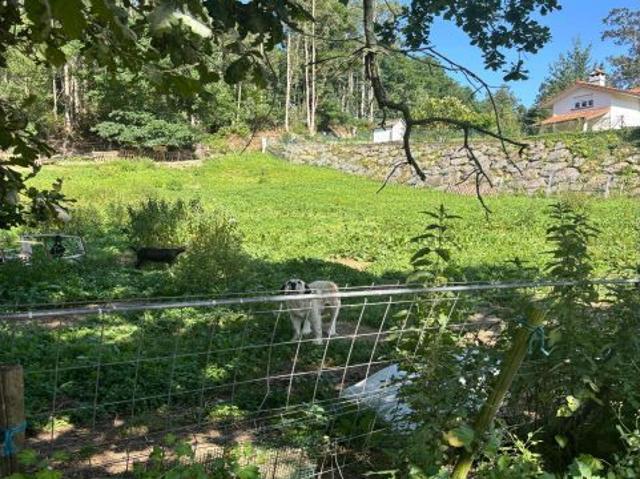 Terreno urbano en Venta en Castañeda, Cantabria