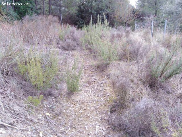 TERRENO URBANO EN VENTA EN EL PONT DE VILOMARA RIVER PARK