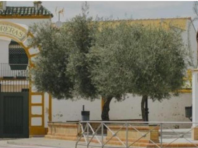 Terreno Urbano en venta en Salteras Sevilla