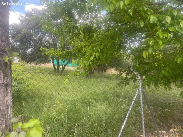 Terreno urbano en Venta en Sauceda, Guadalajara