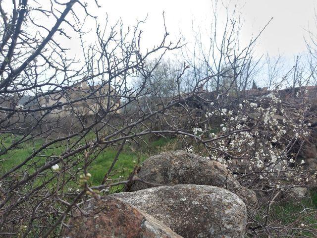 Terreno urbano en Venta en Sotosalbos, Segovia