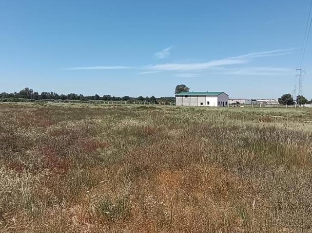 Terreno en Villamanrique de la Condesa Sevilla – 2,8 hectáreas de naturaleza y oportunidades