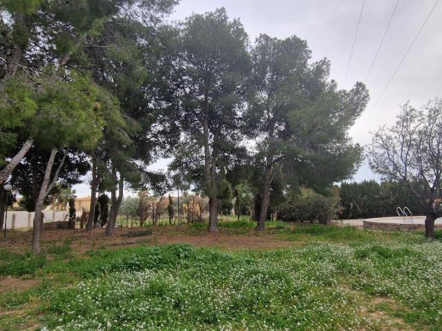 Terreno Urbano en Zona Residencial San Vicente del Raspeig
