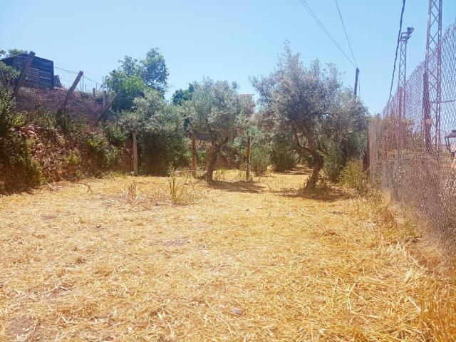 TERRENO URBANO EN EL CENTRO DE CELÍN