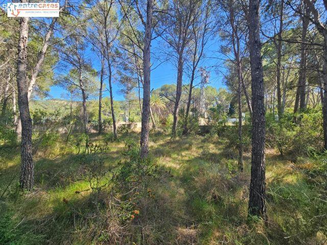 TERRENO URBANO EN GILET. 2.121 M2