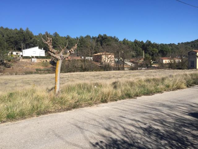 Terreno urbano en La Moixeta La Juncosa de Montmell