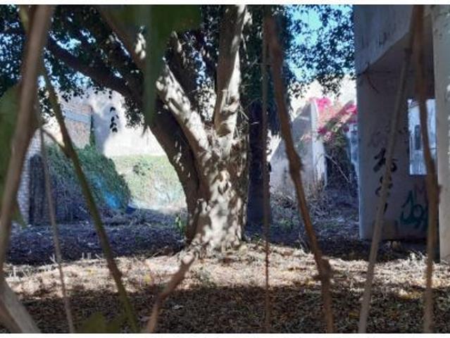 Terreno Urbano en La Soledad