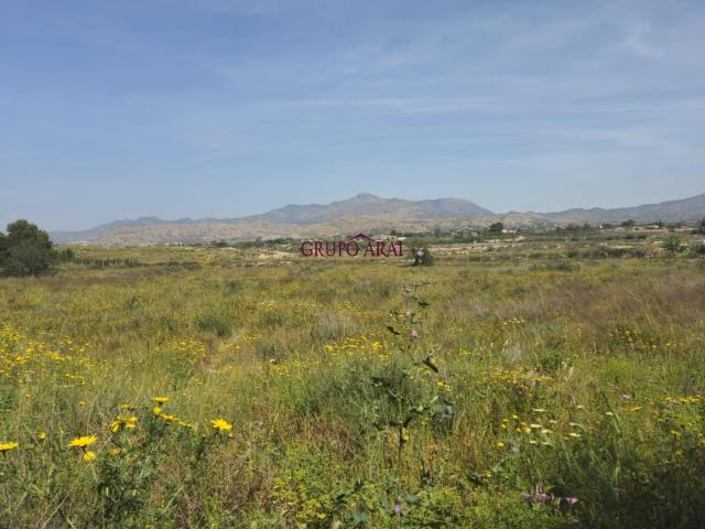Terreno Urbano en San Vicente del Raspeig