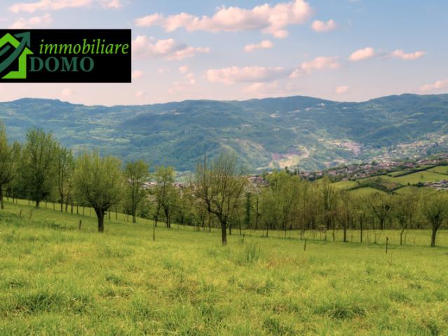 Terreno urbano in Vendita a Cornedo Vicentino