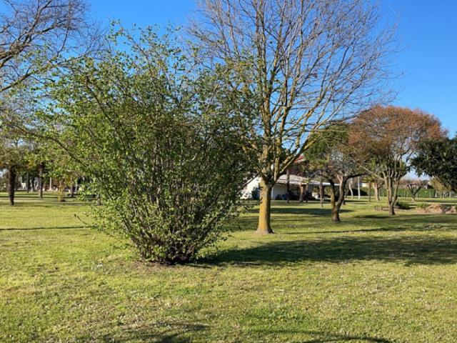 Terreno urbano in Vendita a Cavallino Treporti