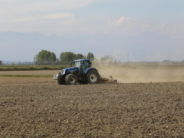 Terreno urbano in Vendita a Canaro