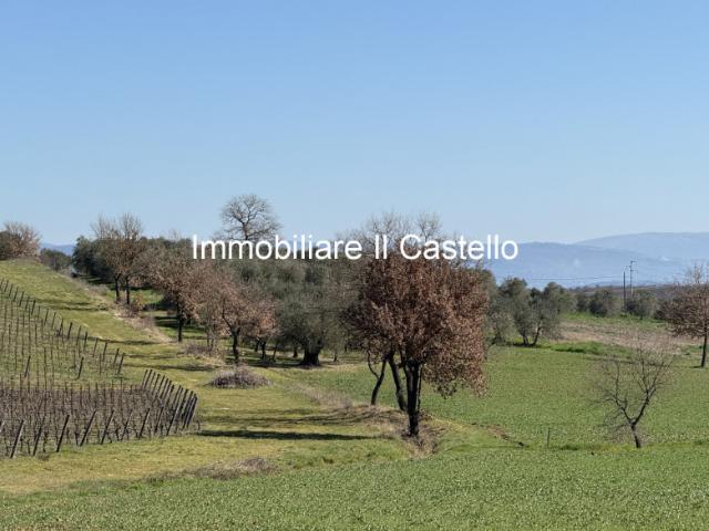 Terreno urbano in Vendita a Castiglione del Lago