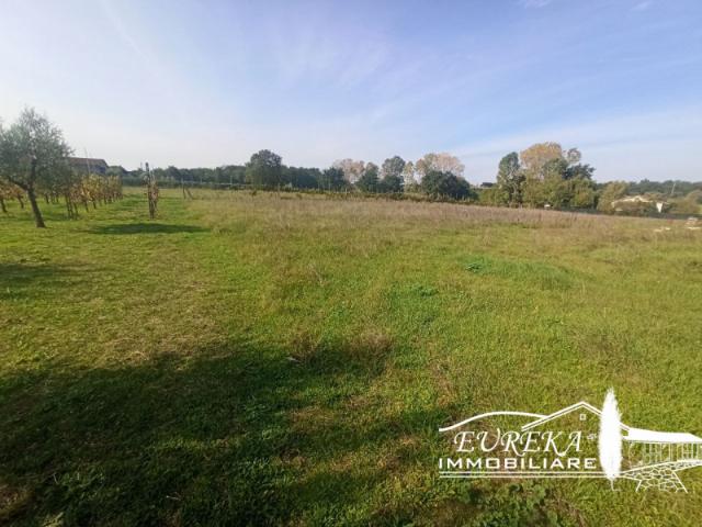 Terreno urbano in Vendita a Castiglione del Lago