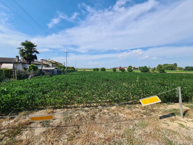 Terreno urbano in Vendita a Montagnana