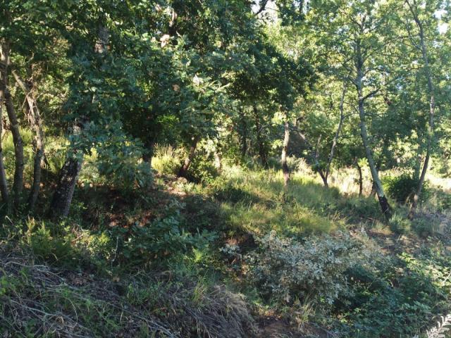 Terreno urbano in Vendita a Magione