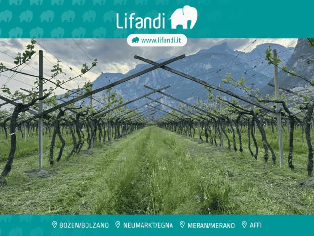 Terreno urbano in Vendita a Salorno