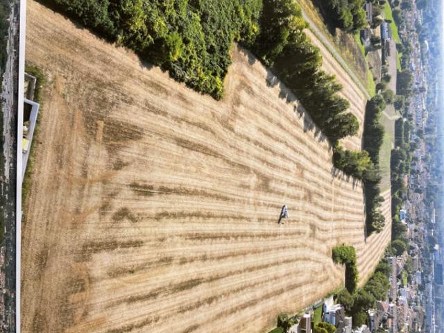Terreno urbano in Vendita a Saonara