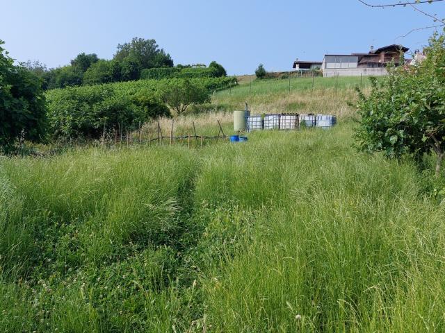 Terreno urbano in Vendita a Stradella