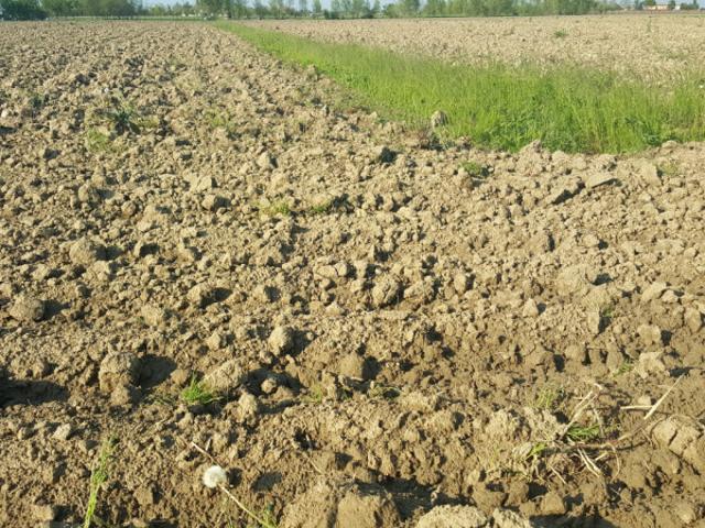 Terreno urbano in Vendita a Portogruaro