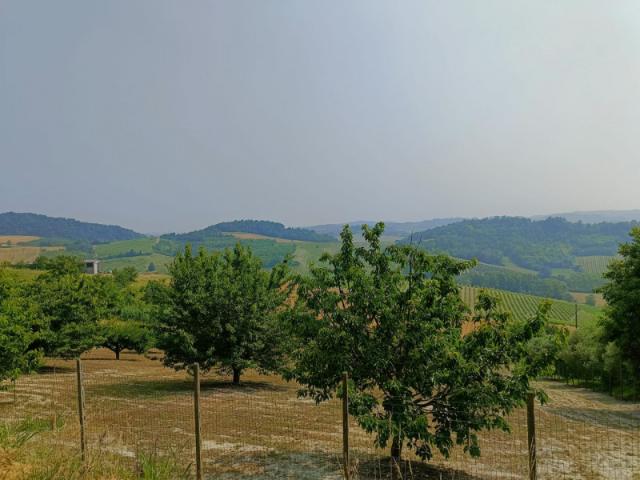 Terreno urbano in Vendita a Treville
