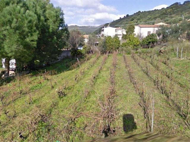 Terreno urbano in Vendita a Viddalba
