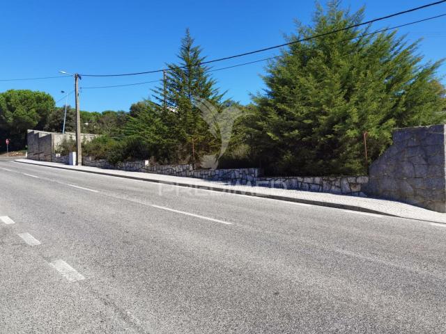 Terreno urbano, localizado em Minde /Alcanena
