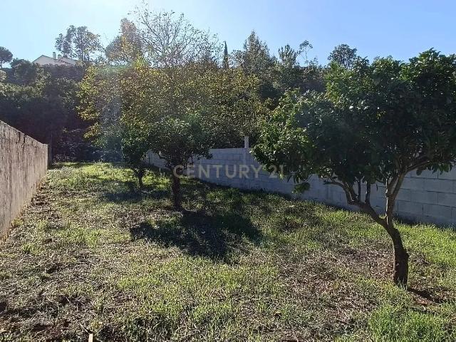 Terreno Urbano Mira de Aire