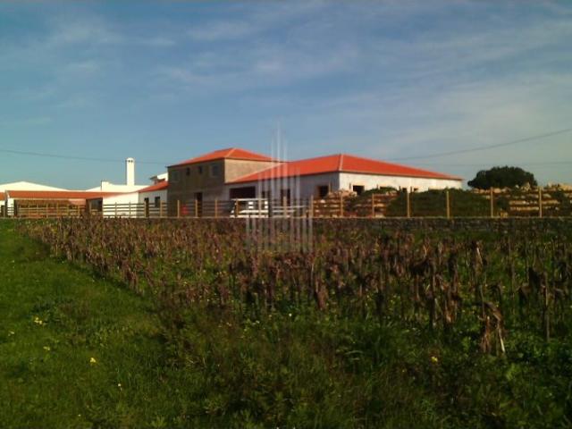 Terreno Urbano na Assafora | São Julião