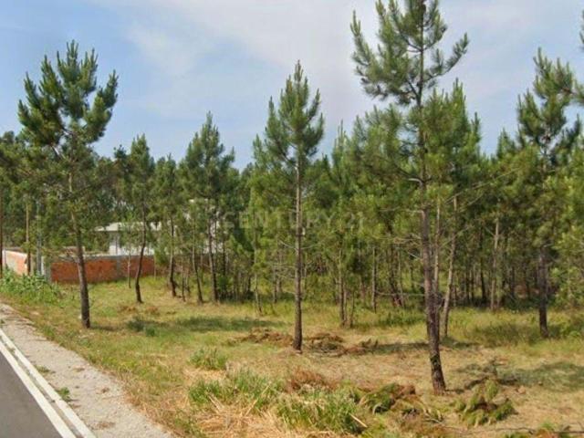 Terreno Urbano na Rua Principal do Andal, Vagos 3590m² com Acesso à Estrada