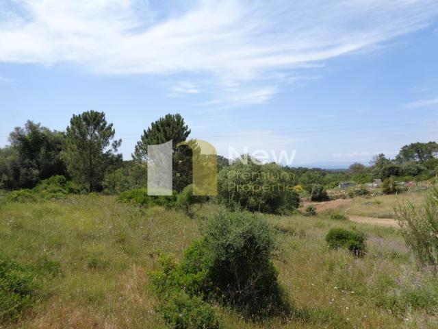 Terreno Urbano no Zambujal de Baixo Sesimbra