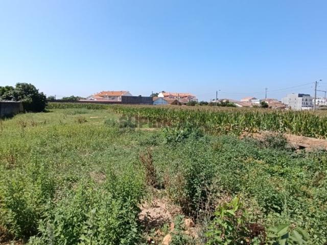 Terreno Urbano Oiã, Oliveira do Bairro