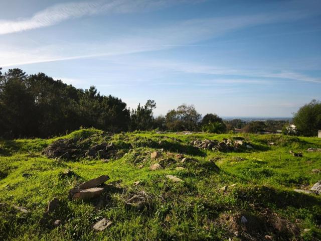 Terreno Urbano Palmaz Oliveira de Azeméis