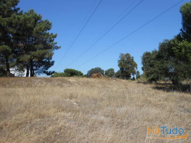 Terreno urbano para construção com 195 m², localizado em Pinhal da Vila Chã | 26084067749