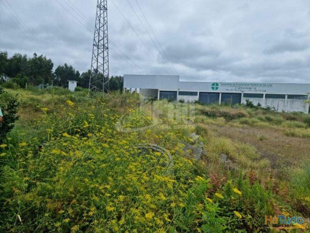 TERRENO URBANO PARA CONSTRUÇÃO DE 13 MORADIAS EM ESMORIZ | 26083834824