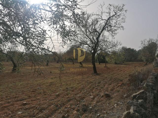 Terreno Urbano para construção de Moradia/s, 8250m2 e 3300m2 de área bruta de construção