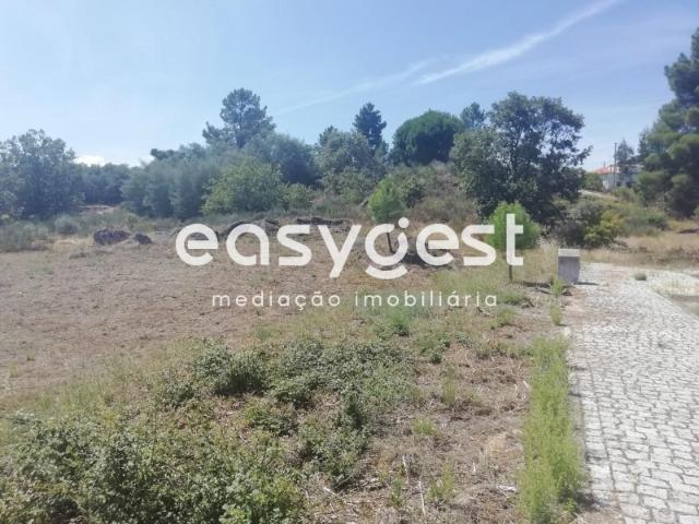Terreno urbano para Construção na aldeia de Malpique, Caria