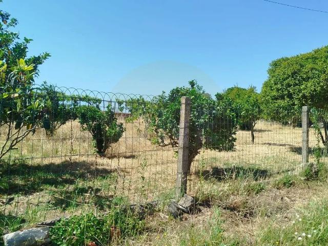 Terreno urbano para construção na Moita