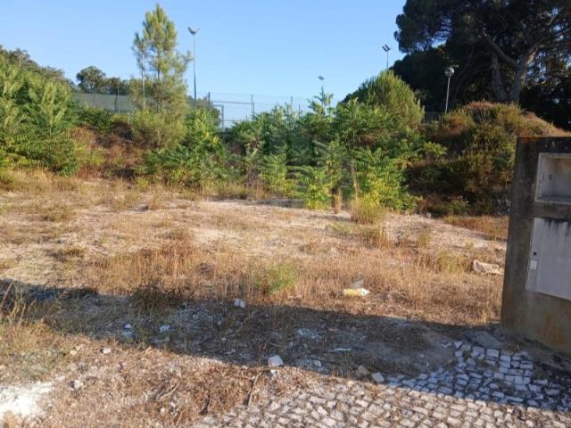 Terreno Urbano para Construção | Projeto Aprovado | Maçã