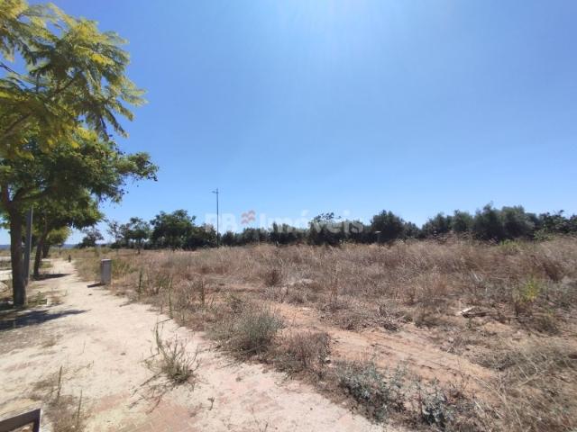 Terreno urbano para construção Quinta da Capela, Entroncamento
