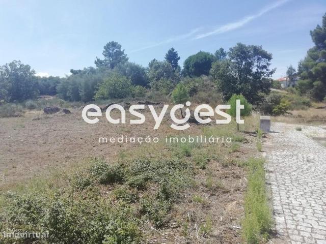 Terreno urbano para Construo na aldeia de Malpique, Caria