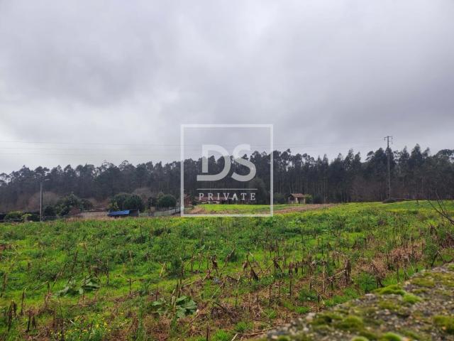 Terreno Urbano para Desenvolvimento Habitacional | Ul – Oliveira de Azeméis