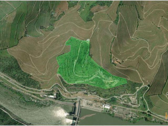 Terreno urbano, para venda, Peso da Régua Canelas | 26064092532