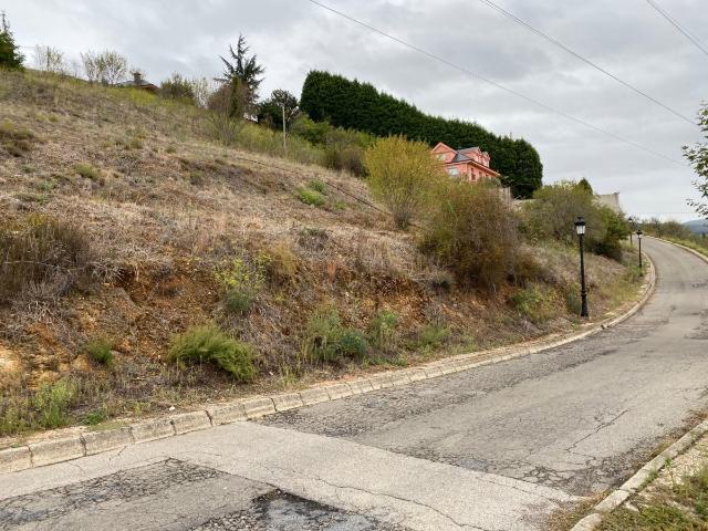 Terreno Urbano Patricia