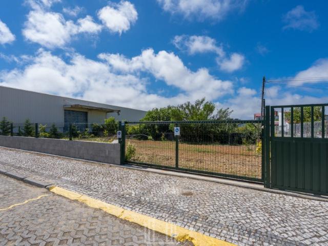 Terreno Urbano São João, Ovar