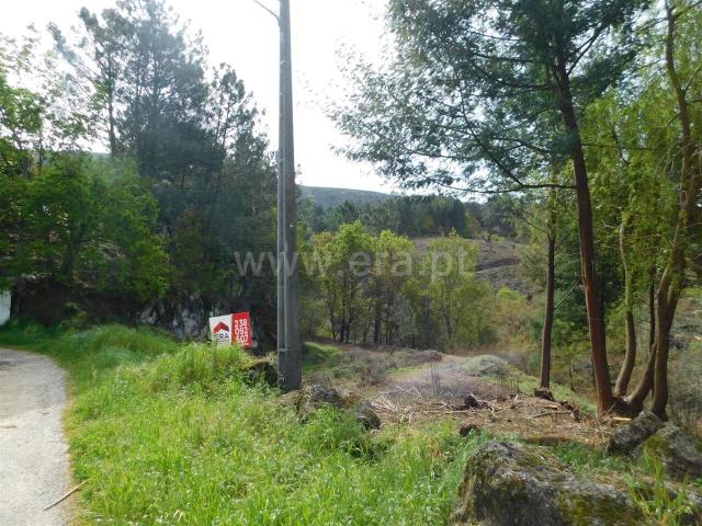 Terreno Urbano / Seia, Seia, São Romão e Lapa dos Dinheiros