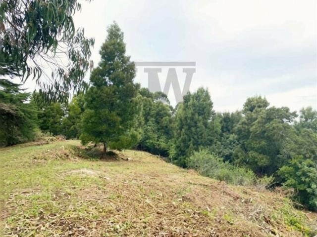 Terreno Urbano, Sintra Lisboa, 8.385 m2