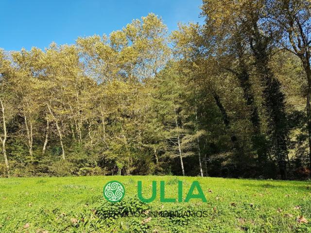 Terreno, Urnieta