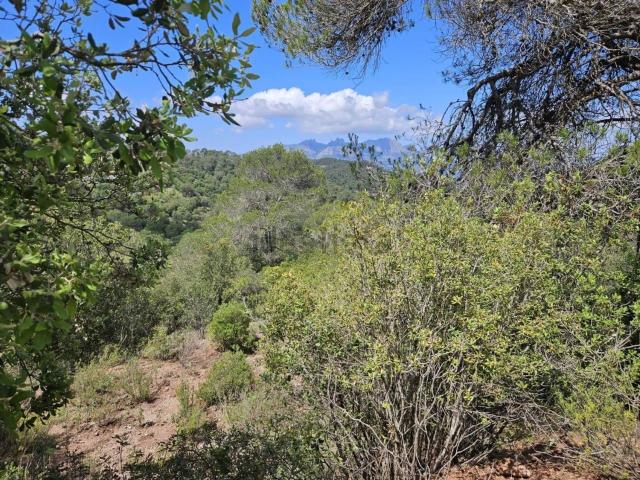 Terreno, Vacarisses